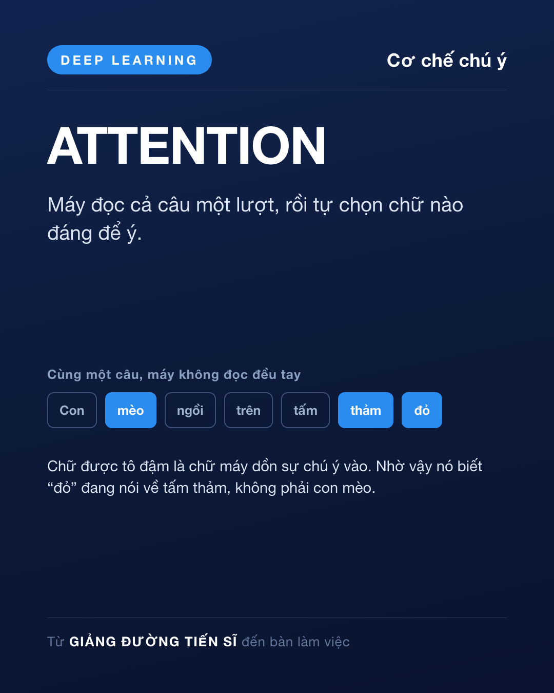 Thẻ Ngày 16 — Cơ chế chú ý